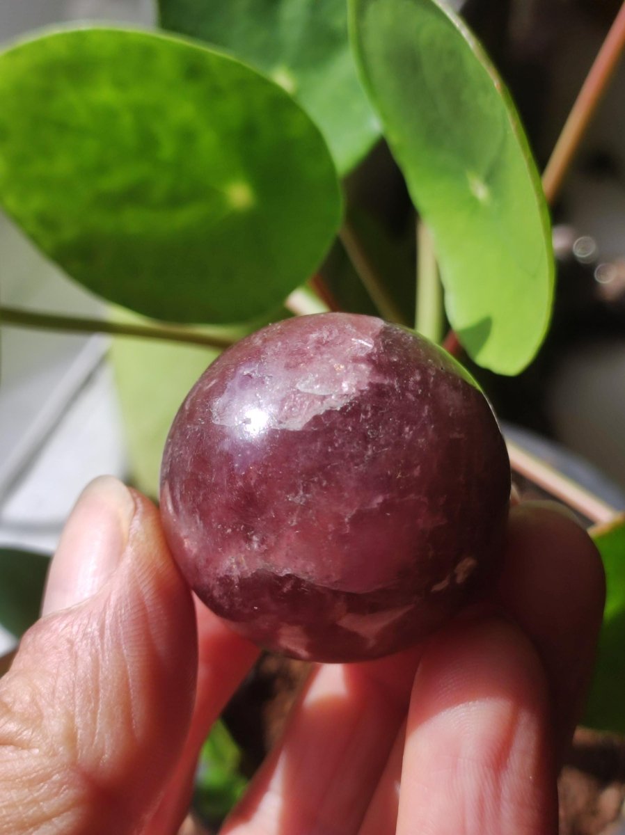 Tanzurine red Cherry Tanzurine Quartz ~ Magische Edelstein Kugel Deko Sphere Crystal Meditation Ethno Heilstein Sammler Rarität Mineral - Art of Nature Berlin