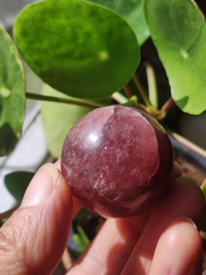 Tanzurine red Cherry Tanzurine Quartz ~ Magische Edelstein Kugel Deko Sphere Crystal Meditation Ethno Heilstein Sammler Rarität Mineral - Art of Nature Berlin