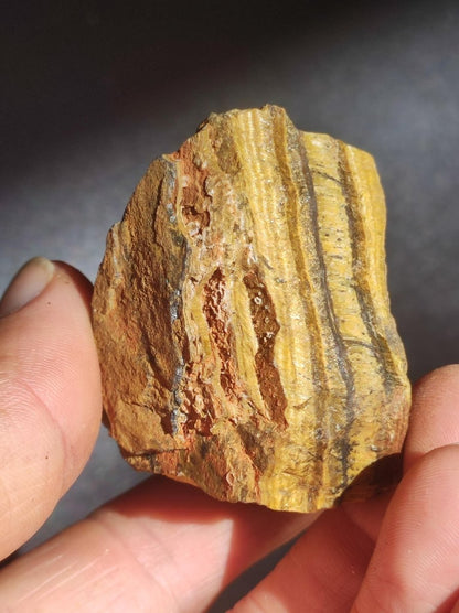 Tigerauge braun roh Sammler Stufe Rarität Edelstein Deko Kristall Heilstein Mineral Kollektion Energie Natur Meditation HIPPIE - Art of Nature Berlin