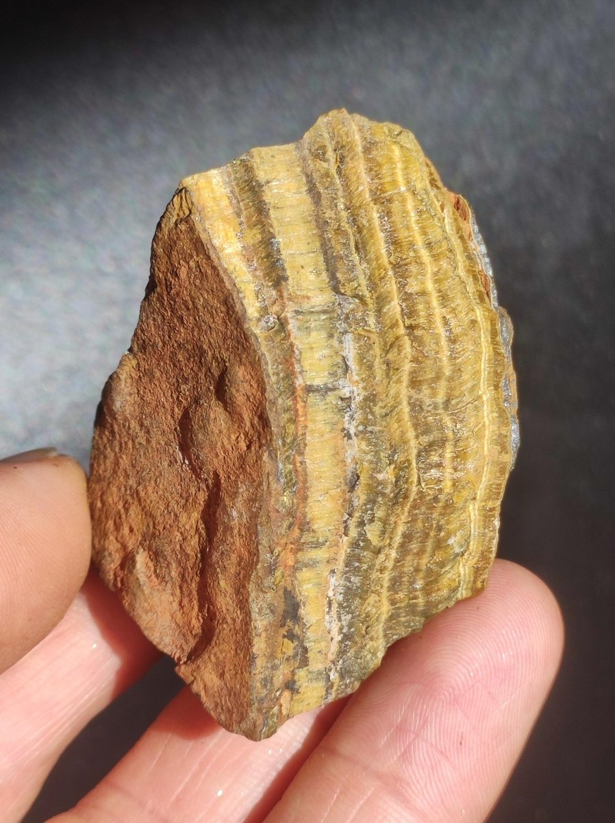 Tigerauge braun roh Sammler Stufe Rarität Edelstein Deko Kristall Heilstein Mineral Kollektion Energie Natur Meditation HIPPIE - Art of Nature Berlin