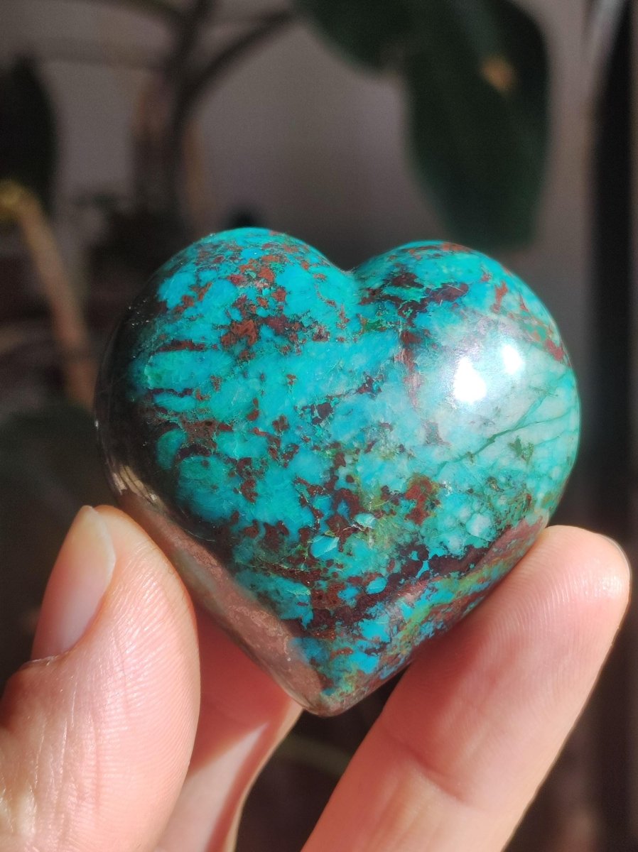 Traumhaftes Chrysocoll Herz - Magische Edelstein Deko Kristall Rarität Sammler Unikat Geschenk Er Sie Mann Frau Heilstein Qualität Ethisch - Art of Nature Berlin