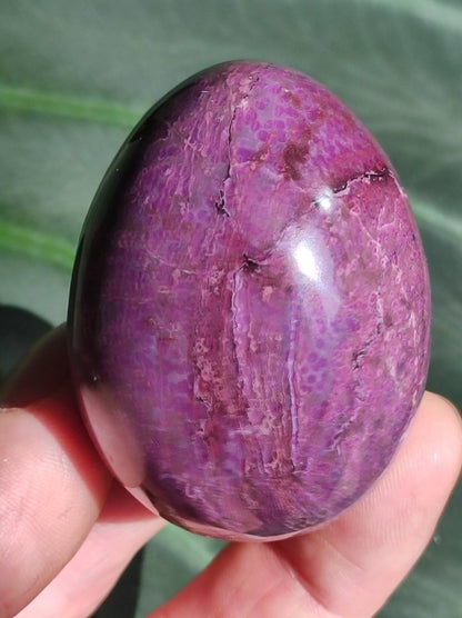 Traumhaftes Sugilith Ei ~ 500ct ~ Sugilite Egg Edelstein Deko Kristall Meditation Energie Heilstein Rarität Selten Sammler Investition Wert - Art of Nature Berlin