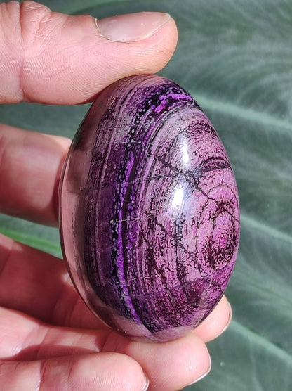 Traumhaftes Sugilith Ei ~ 680ct ~ Sugilite Egg Edelstein Deko Kristall Meditation Energie Heilstein Rarität Selten Sammler Investition Wert - Art of Nature Berlin