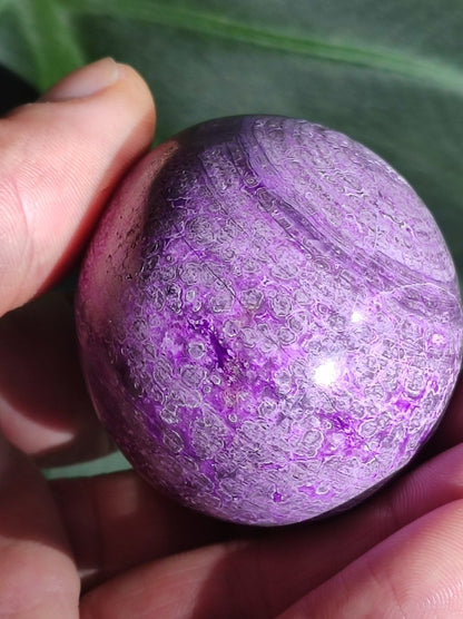 Traumhaftes Sugilith Ei ~ 750ct ~ Sugilite Egg Edelstein Deko Kristall Meditation Energie Heilstein Rarität Selten Sammler Investition - Art of Nature Berlin