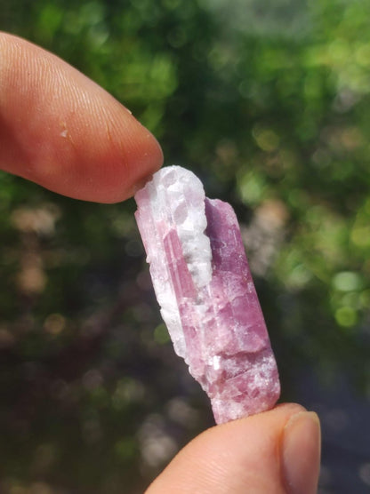 Turmalin Quarz Pink Rosa roh Sammler Stufen Rarität Edelstein Deko Kristall Heilstein Mineral Kollektion Energie Natur Meditation HIPPIE - Art of Nature Berlin
