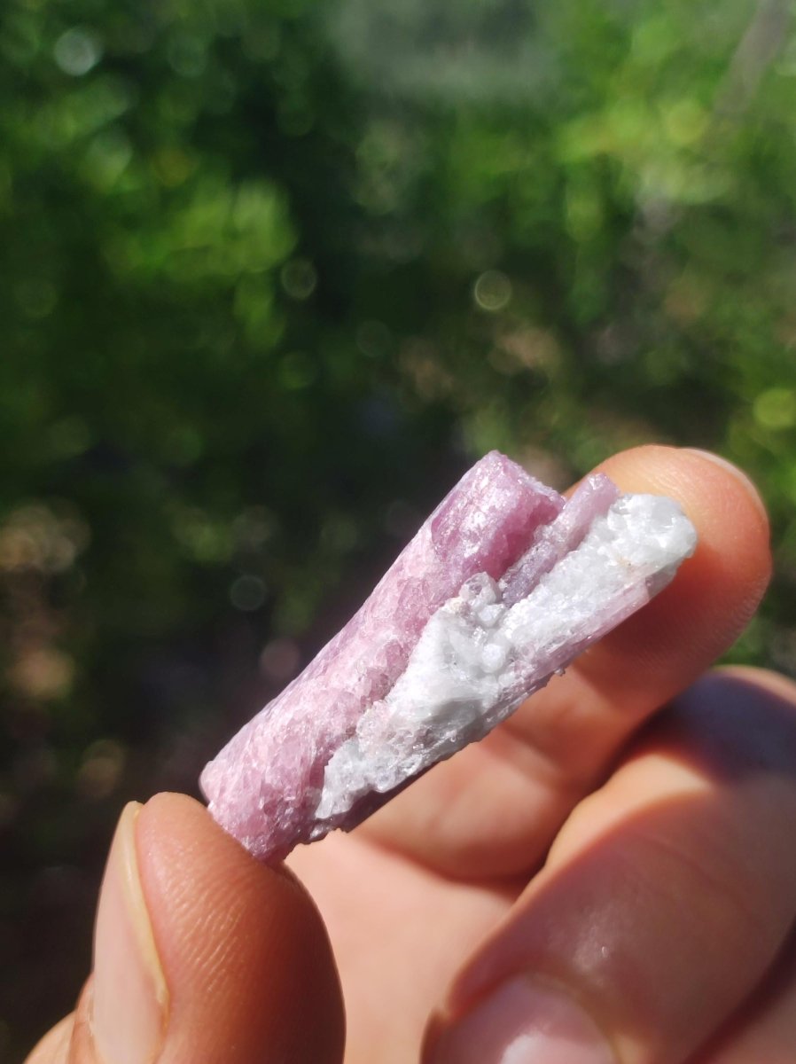 Turmalin Quarz Pink Rosa roh Sammler Stufen Rarität Edelstein Deko Kristall Heilstein Mineral Kollektion Energie Natur Meditation HIPPIE - Art of Nature Berlin