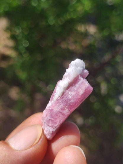 Turmalin Quarz Pink Rosa roh Sammler Stufen Rarität Edelstein Deko Kristall Heilstein Mineral Kollektion Energie Natur Meditation HIPPIE - Art of Nature Berlin