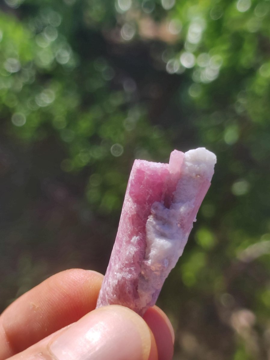 Turmalin Quarz Pink Rosa roh Sammler Stufen Rarität Edelstein Deko Kristall Heilstein Mineral Kollektion Energie Natur Meditation HIPPIE - Art of Nature Berlin