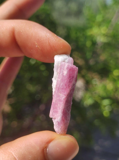 Turmalin Quarz Pink Rosa roh Sammler Stufen Rarität Edelstein Deko Kristall Heilstein Mineral Kollektion Energie Natur Meditation HIPPIE - Art of Nature Berlin