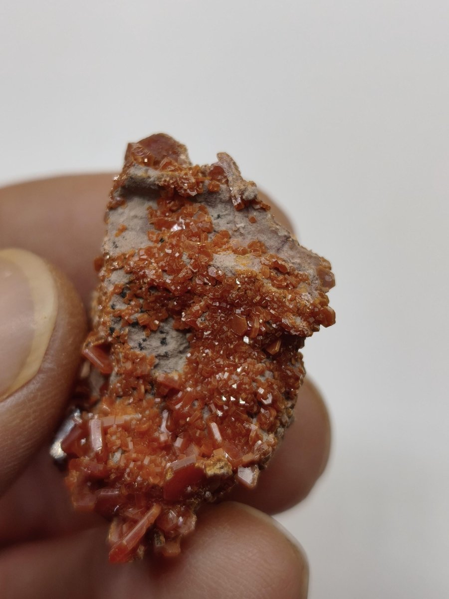 Vanadinit Kristallstufe – Rot-orange hexagonale Kristalle auf Matrix | Mineral Sammlerstufe Kristall Stufe Rarität Unikat Geschenk Marokko - Art of Nature Berlin