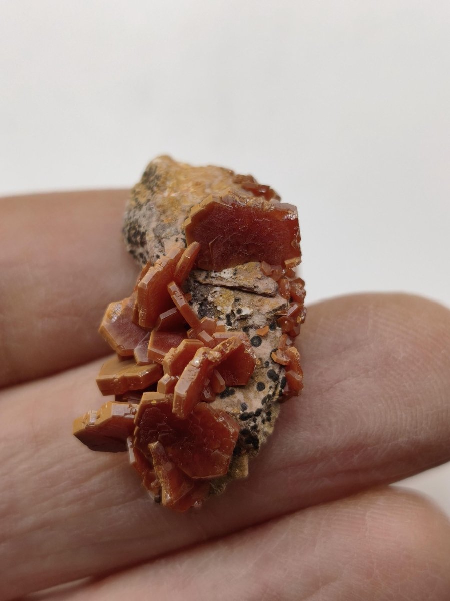 Vanadinit Kristallstufe – Rot-orange hexagonale Kristalle auf Matrix | Mineral Sammlerstufe Kristall Stufe Rarität Unikat Geschenk Marokko - Art of Nature Berlin