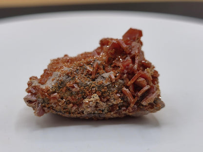 Vanadinit Kristallstufe – Rot-orange hexagonale Kristalle auf Matrix | Mineral Sammlerstufe Kristall Stufe Rarität Unikat Geschenk Marokko - Art of Nature Berlin