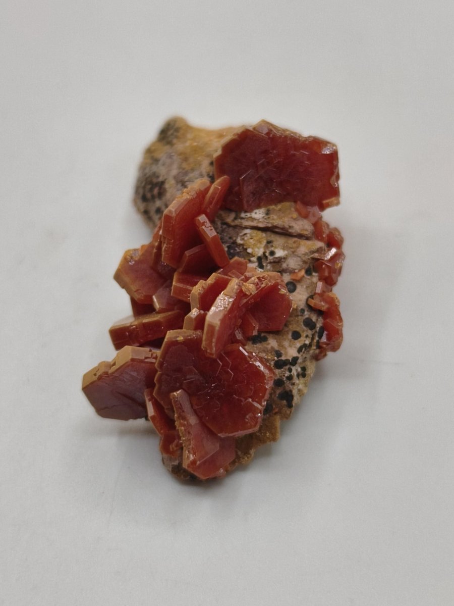 Vanadinit Kristallstufe – Rot-orange hexagonale Kristalle auf Matrix | Mineral Sammlerstufe Kristall Stufe Rarität Unikat Geschenk Marokko - Art of Nature Berlin