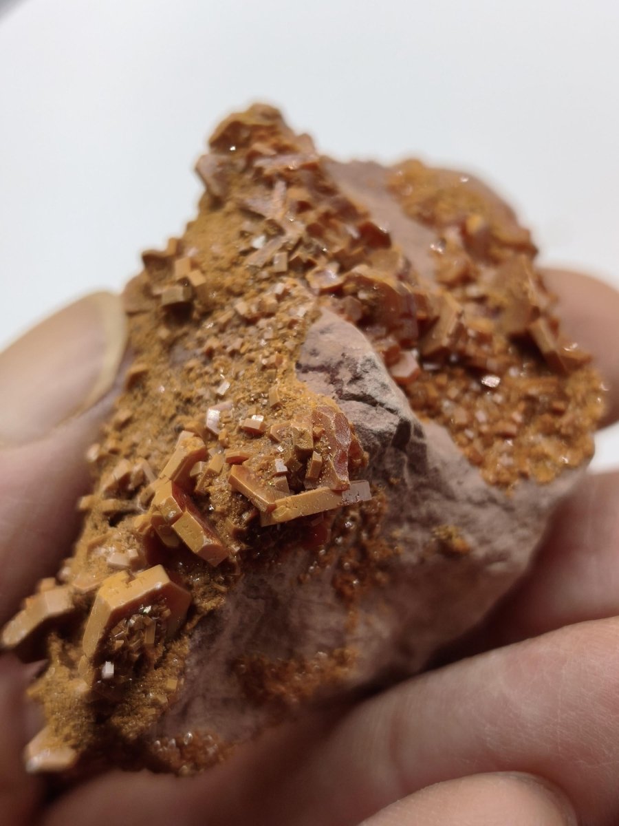 Vanadinit Kristallstufe – Rot-orange hexagonale Kristalle auf Matrix | Mineral Sammlerstufe Kristall Stufe Rarität Unikat Geschenk Marokko - Art of Nature Berlin