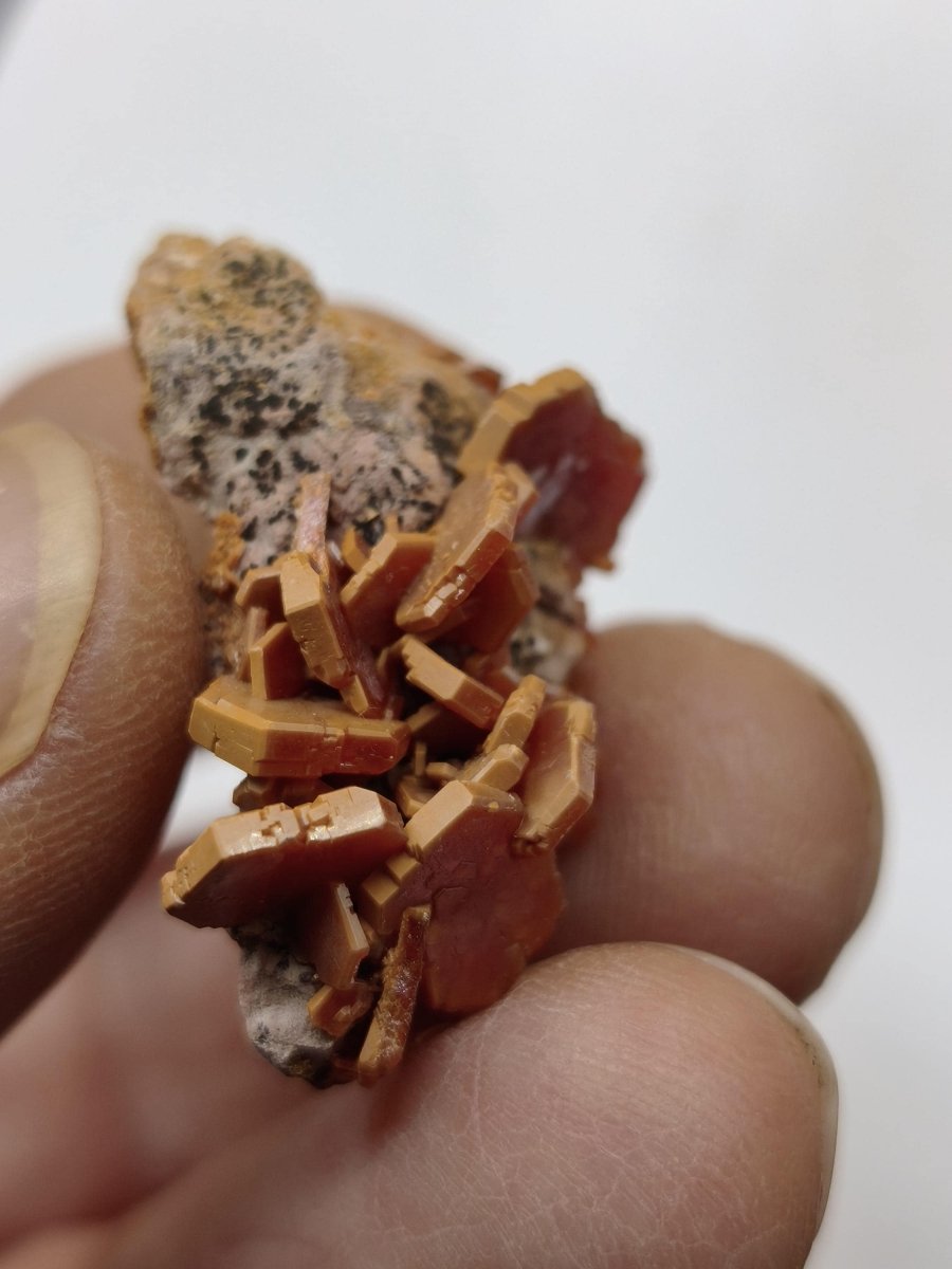 Vanadinit Kristallstufe – Rot-orange hexagonale Kristalle auf Matrix | Mineral Sammlerstufe Kristall Stufe Rarität Unikat Geschenk Marokko - Art of Nature Berlin