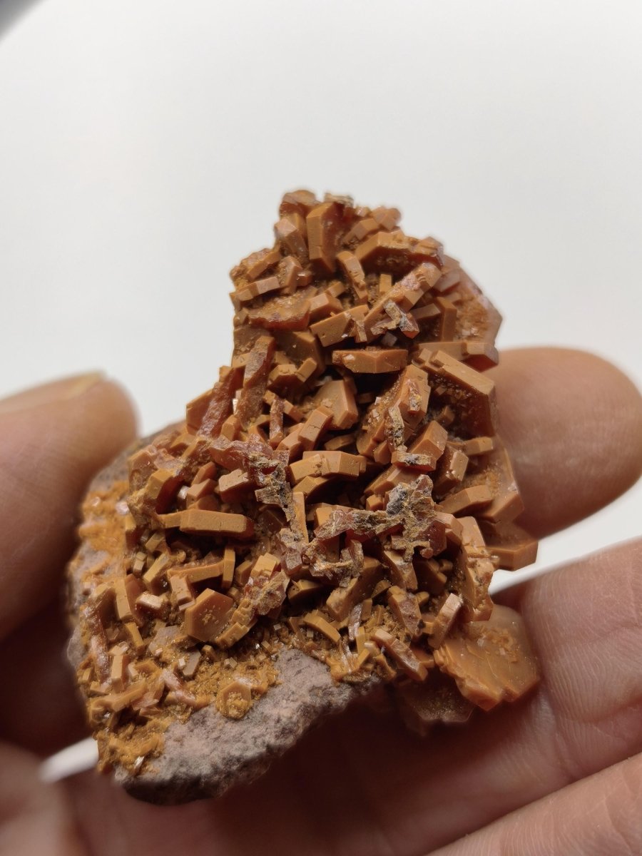 Vanadinit Kristallstufe – Rot-orange hexagonale Kristalle auf Matrix | Mineral Sammlerstufe Kristall Stufe Rarität Unikat Geschenk Marokko - Art of Nature Berlin