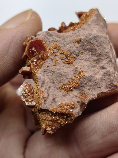 Vanadinit Kristallstufe – Rot-orange hexagonale Kristalle auf Matrix | Mineral Sammlerstufe Kristall Stufe Rarität Unikat Geschenk Marokko - Art of Nature Berlin