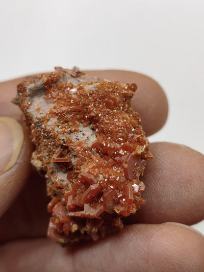 Vanadinit Kristallstufe – Rot-orange hexagonale Kristalle auf Matrix | Mineral Sammlerstufe Kristall Stufe Rarität Unikat Geschenk Marokko - Art of Nature Berlin