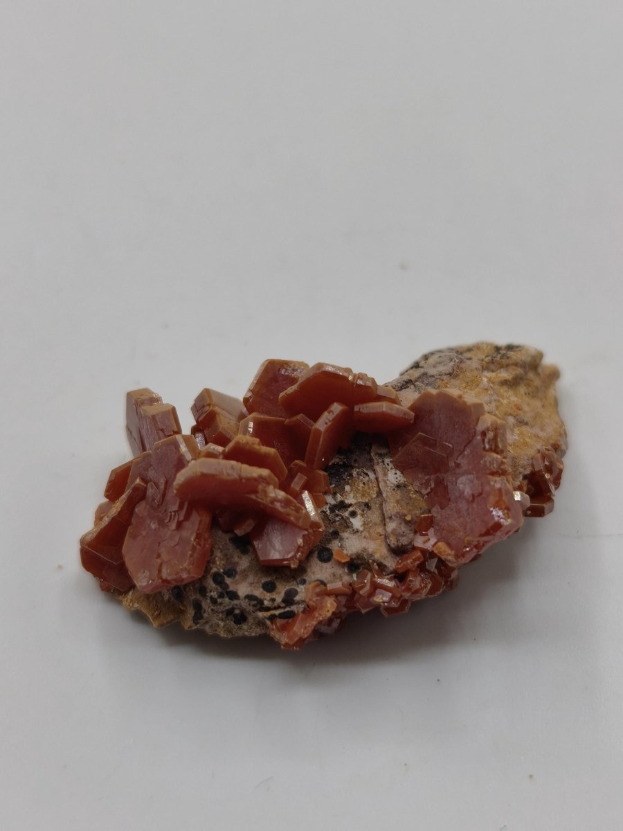 Vanadinit Kristallstufe – Rot-orange hexagonale Kristalle auf Matrix | Mineral Sammlerstufe Kristall Stufe Rarität Unikat Geschenk Marokko - Art of Nature Berlin