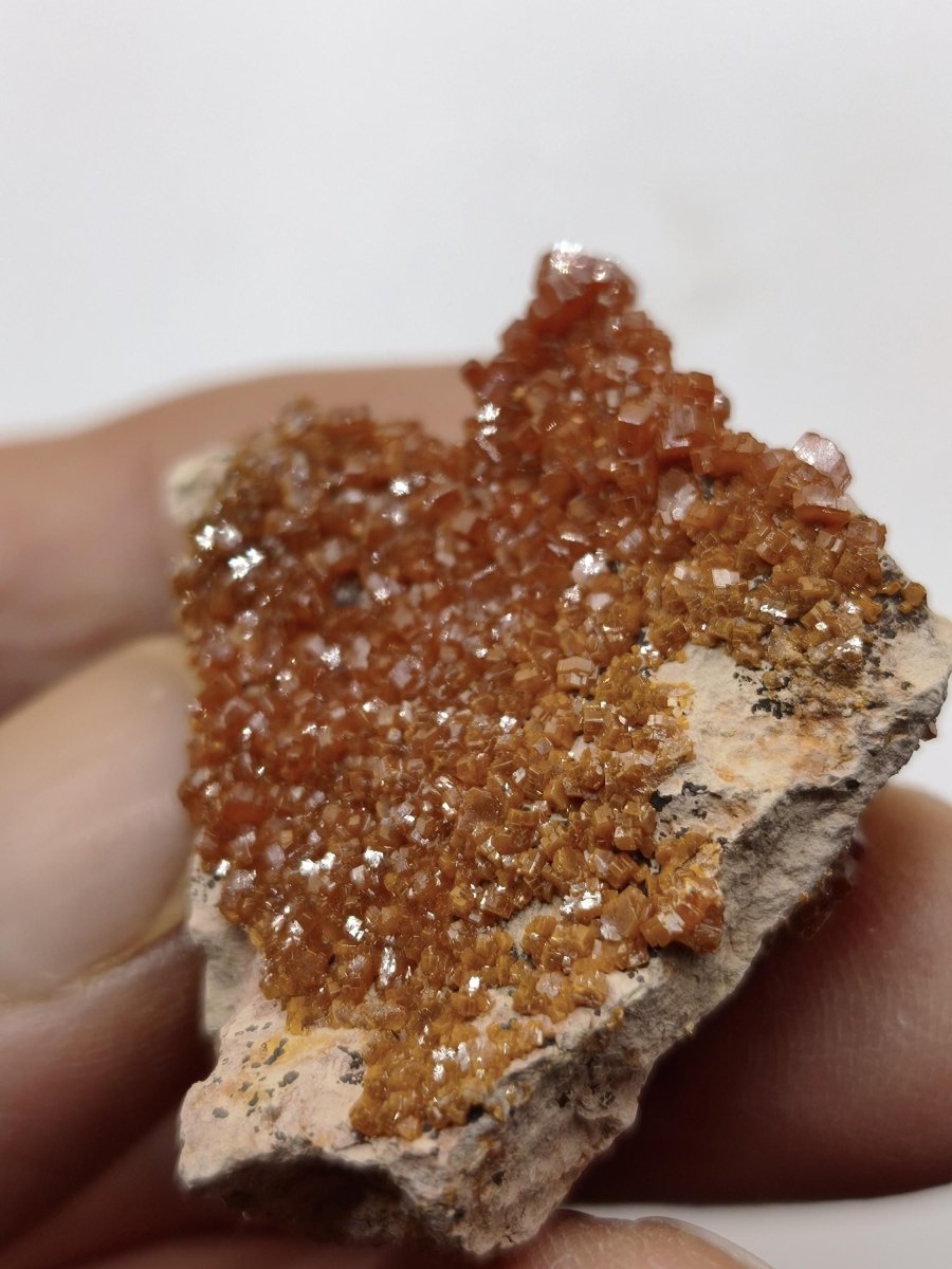 Vanadinit Kristallstufe – Rot-orange hexagonale Kristalle auf Matrix | Mineral Sammlerstufe Kristall Stufe Rarität Unikat Geschenk Marokko - Art of Nature Berlin