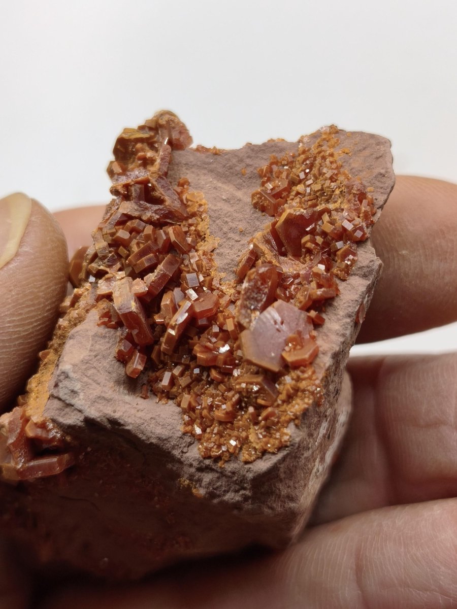 Vanadinit Kristallstufe – Rot-orange hexagonale Kristalle auf Matrix | Mineral Sammlerstufe Kristall Stufe Rarität Unikat Geschenk Marokko - Art of Nature Berlin