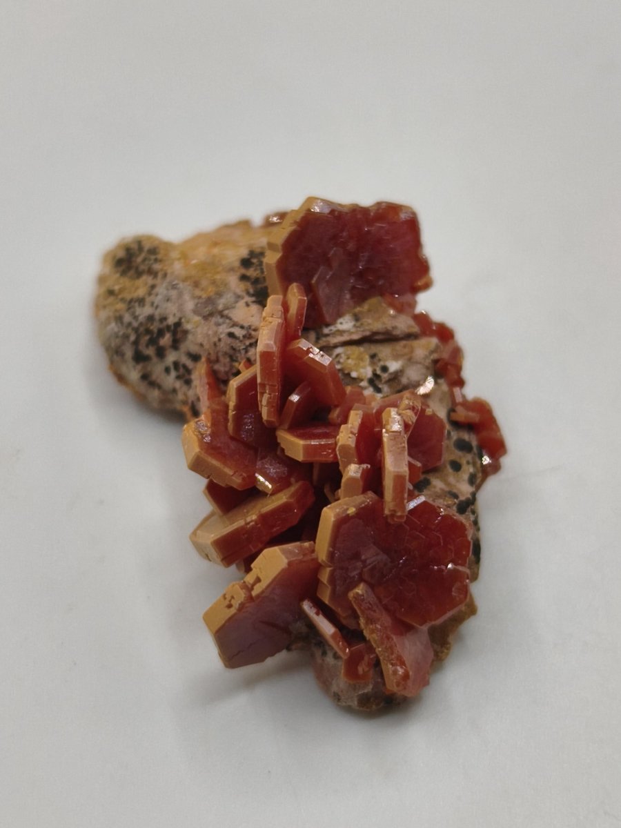 Vanadinit Kristallstufe – Rot-orange hexagonale Kristalle auf Matrix | Mineral Sammlerstufe Kristall Stufe Rarität Unikat Geschenk Marokko - Art of Nature Berlin