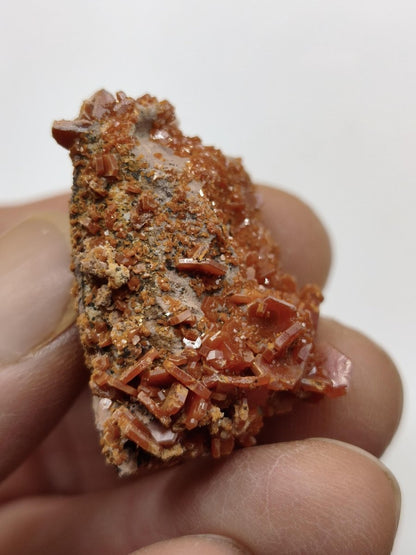 Vanadinit Kristallstufe – Rot-orange hexagonale Kristalle auf Matrix | Mineral Sammlerstufe Kristall Stufe Rarität Unikat Geschenk Marokko - Art of Nature Berlin