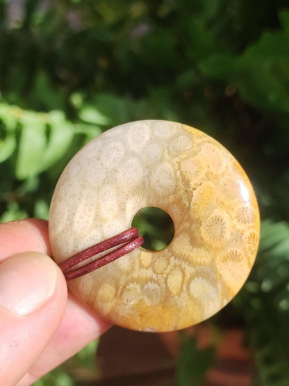 Versteinerte Koralle 40mm Edelstein Kette Donut Heilstein Natur braun beige Energie Rarität Schmuck Frau Mann Er Sie Bruder Geschenk Freund - Art of Nature Berlin