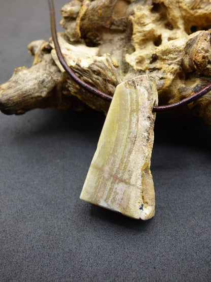 Versteinertes Holz ~ Edelstein Kette ~HIPPIE ~GOA ~Boho ~Ethno ~Nature ~Heilstein - Art of Nature Berlin