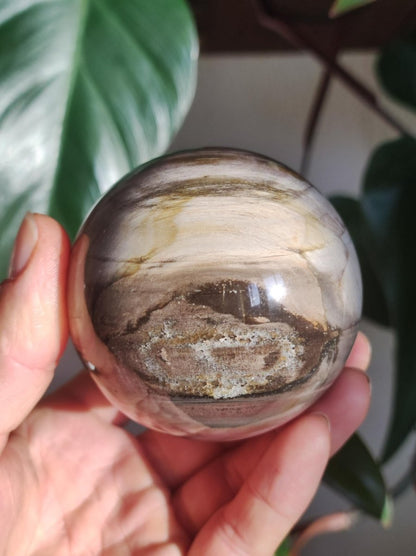 Versteinertes Holz - XL Edelstein Kugel Natur Heilstein Deko Sphere Sammler Wohn Natur Qualität Selten Rarität Geschenk Mann Frau Er Sie - Art of Nature Berlin