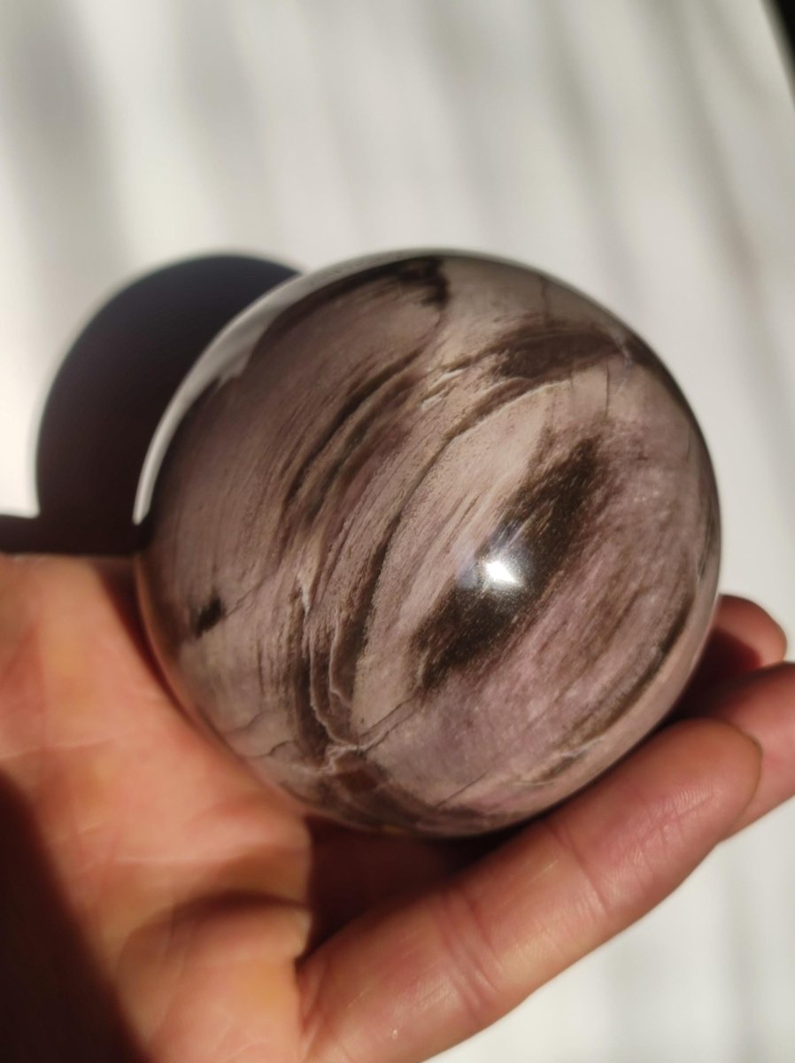 Versteinertes Holz - XL Edelstein Kugel Natur Heilstein Deko Sphere Sammler Wohn Natur Qualität Selten Rarität Geschenk Mann Frau Er Sie - Art of Nature Berlin