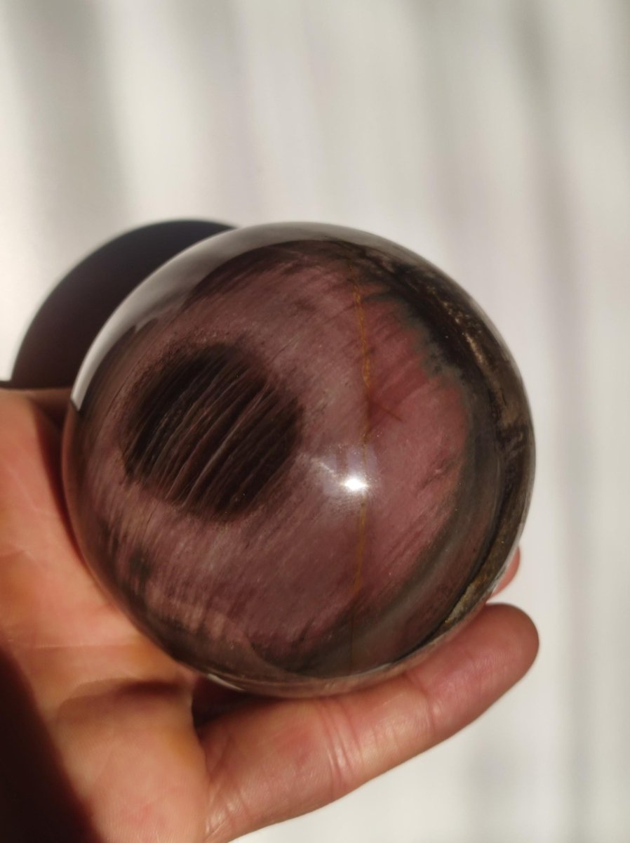 Versteinertes Holz - XL Edelstein Kugel Natur Heilstein Deko Sphere Sammler Wohn Natur Qualität Selten Rarität Geschenk Mann Frau Er Sie - Art of Nature Berlin