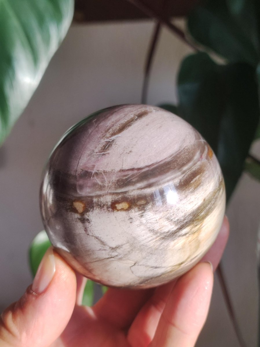 Versteinertes Holz - XL Edelstein Kugel Natur Heilstein Deko Sphere Sammler Wohn Natur Qualität Selten Rarität Geschenk Mann Frau Er Sie - Art of Nature Berlin