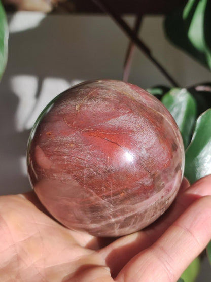 Versteinertes Holz - XL Edelstein Kugel rot Natur Heilstein Deko Sphere Sammler Wohn Natur Qualität Selten Rarität Geschenk Mann Frau Er Sie - Art of Nature Berlin