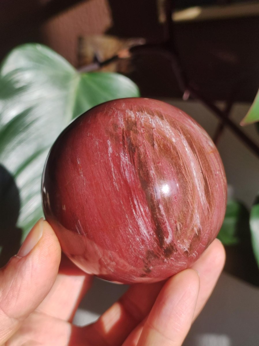 Versteinertes Holz - XL Edelstein Kugel rot Natur Heilstein Deko Sphere Sammler Wohn Natur Qualität Selten Rarität Geschenk Mann Frau Er Sie - Art of Nature Berlin