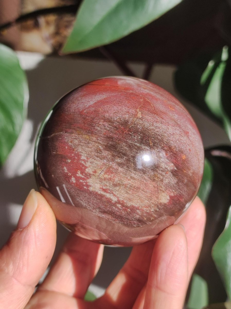 Versteinertes Holz - XL Edelstein Kugel rot Natur Heilstein Deko Sphere Sammler Wohn Natur Qualität Selten Rarität Geschenk Mann Frau Er Sie - Art of Nature Berlin