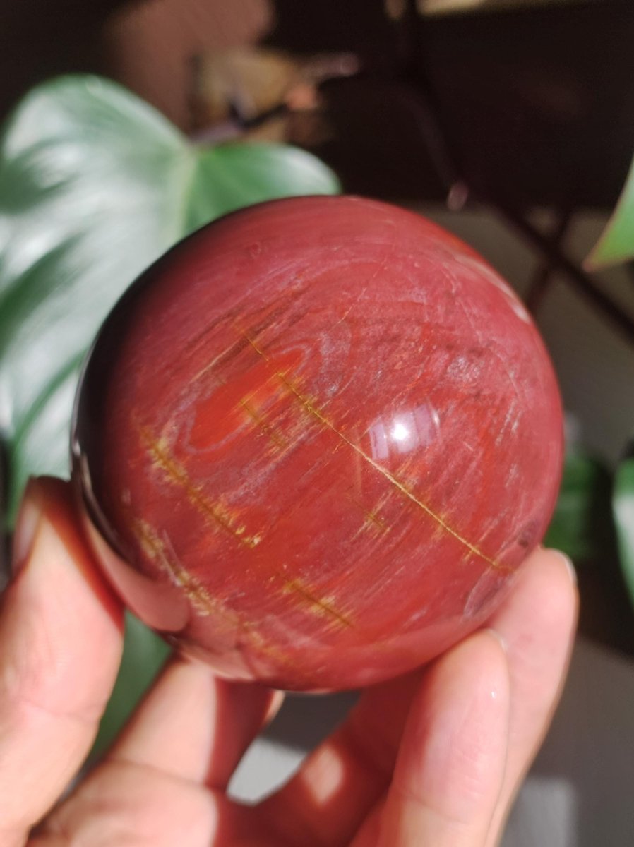 Versteinertes Holz - XL Edelstein Kugel rot Natur Heilstein Deko Sphere Sammler Wohn Natur Qualität Selten Rarität Geschenk Mann Frau Er Sie - Art of Nature Berlin
