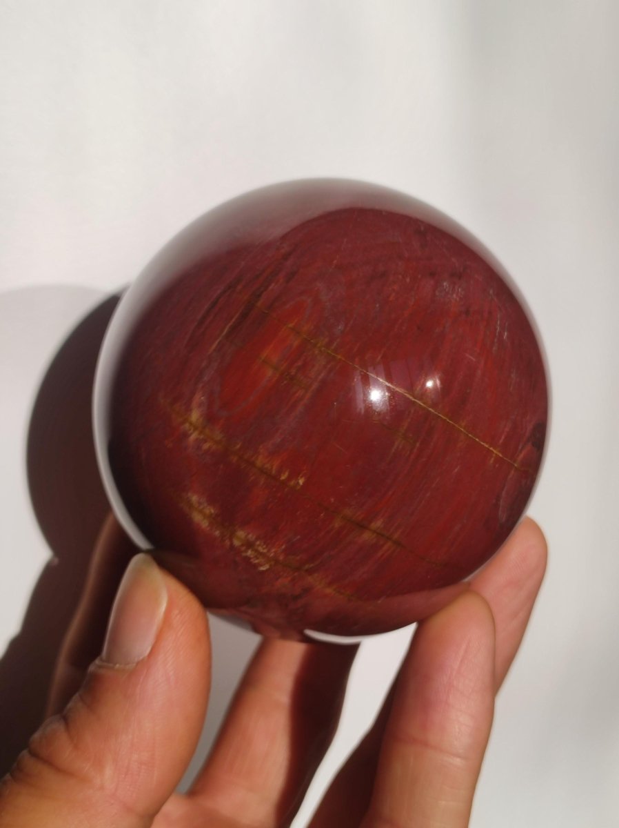 Versteinertes Holz - XL Edelstein Kugel rot Natur Heilstein Deko Sphere Sammler Wohn Natur Qualität Selten Rarität Geschenk Mann Frau Er Sie - Art of Nature Berlin