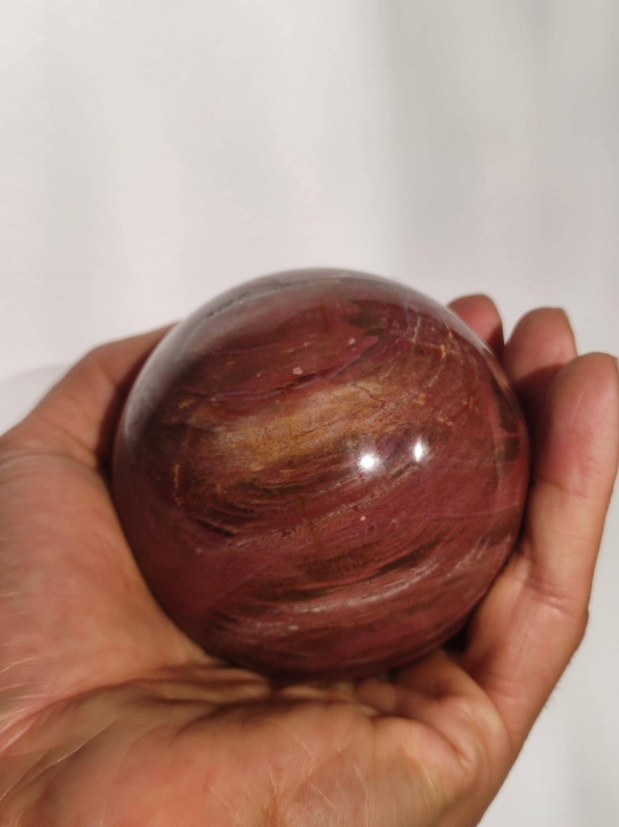 Versteinertes Holz - XL Edelstein Kugel rot Natur Heilstein Deko Sphere Sammler Wohn Natur Qualität Selten Rarität Geschenk Mann Frau Er Sie - Art of Nature Berlin