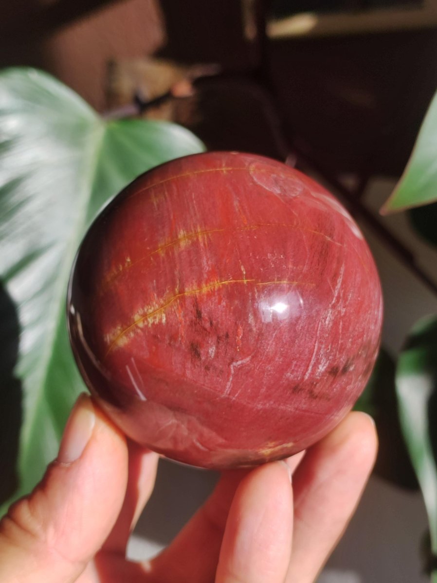 Versteinertes Holz - XL Edelstein Kugel rot Natur Heilstein Deko Sphere Sammler Wohn Natur Qualität Selten Rarität Geschenk Mann Frau Er Sie - Art of Nature Berlin