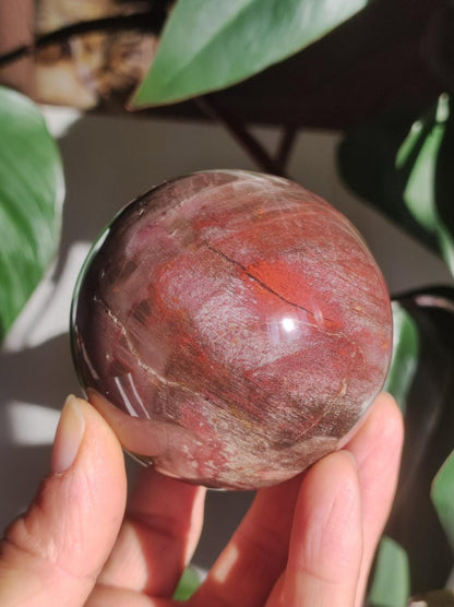 Versteinertes Holz - XL Edelstein Kugel rot Natur Heilstein Deko Sphere Sammler Wohn Natur Qualität Selten Rarität Geschenk Mann Frau Er Sie - Art of Nature Berlin