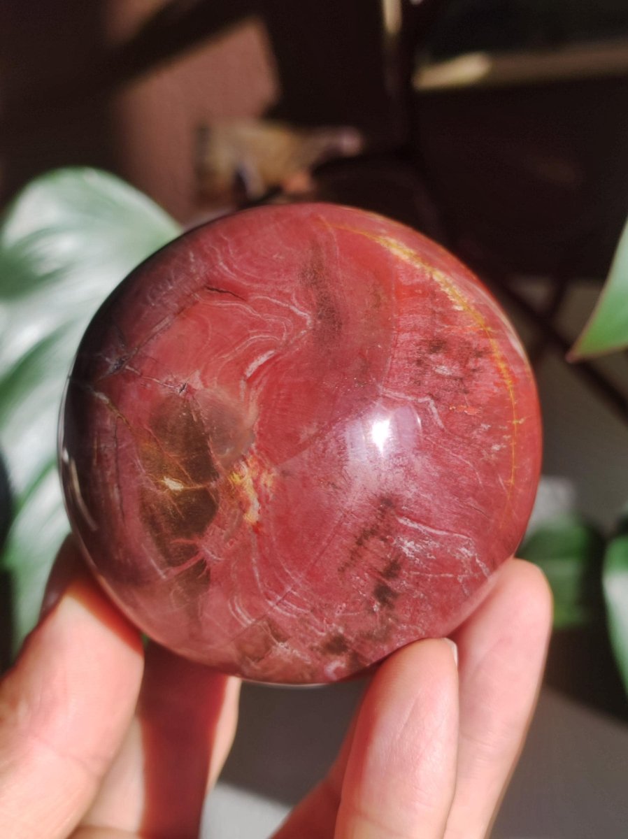 Versteinertes Holz - XL Edelstein Kugel rot Natur Heilstein Deko Sphere Sammler Wohn Natur Qualität Selten Rarität Geschenk Mann Frau Er Sie - Art of Nature Berlin