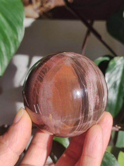 Versteinertes Holz - XL Edelstein Kugel rot Natur Heilstein Deko Sphere Sammler Wohn Natur Qualität Selten Rarität Geschenk Mann Frau Er Sie - Art of Nature Berlin