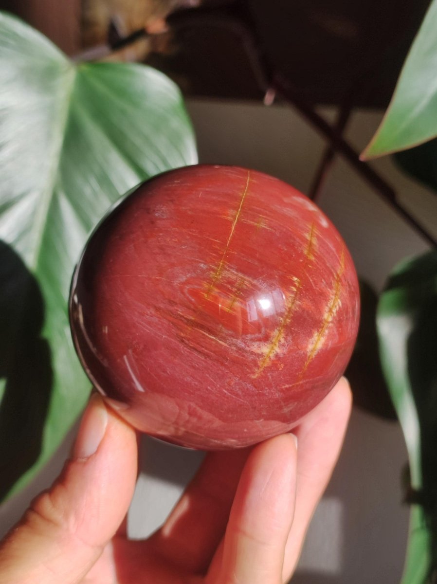 Versteinertes Holz - XL Edelstein Kugel rot Natur Heilstein Deko Sphere Sammler Wohn Natur Qualität Selten Rarität Geschenk Mann Frau Er Sie - Art of Nature Berlin