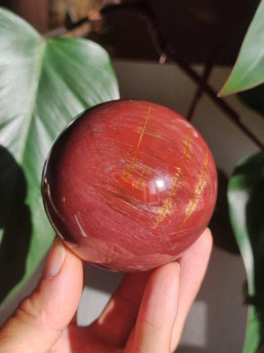 Versteinertes Holz - XL Edelstein Kugel rot Natur Heilstein Deko Sphere Sammler Wohn Natur Qualität Selten Rarität Geschenk Mann Frau Er Sie - Art of Nature Berlin
