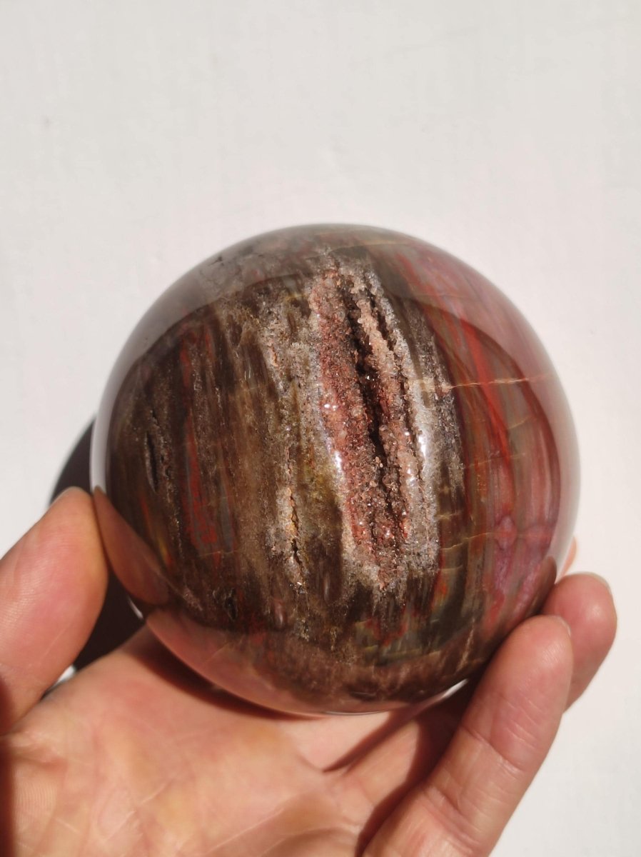 Versteinertes Holz - XXL Edelstein Kugel Natur Heilstein Deko Sphere Sammler Wohn Natur Qualität Selten Rarität Geschenk Mann Frau Er Sie - Art of Nature Berlin