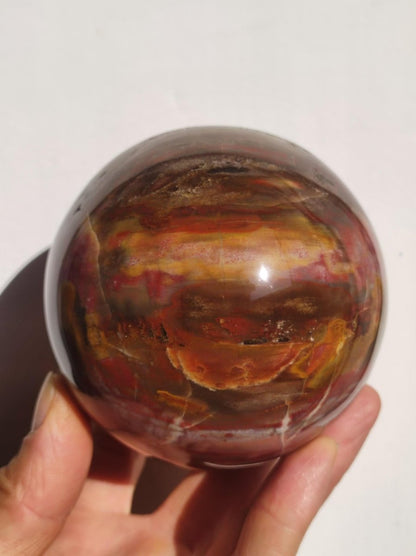 Versteinertes Holz - XXL Edelstein Kugel Natur Heilstein Deko Sphere Sammler Wohn Natur Qualität Selten Rarität Geschenk Mann Frau Er Sie - Art of Nature Berlin