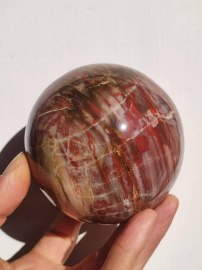 Versteinertes Holz - XXL Edelstein Kugel Natur Heilstein Deko Sphere Sammler Wohn Natur Qualität Selten Rarität Geschenk Mann Frau Er Sie - Art of Nature Berlin