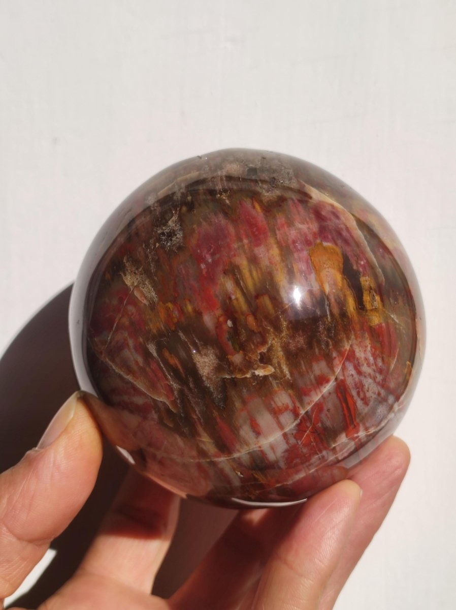 Versteinertes Holz - XXL Edelstein Kugel Natur Heilstein Deko Sphere Sammler Wohn Natur Qualität Selten Rarität Geschenk Mann Frau Er Sie - Art of Nature Berlin