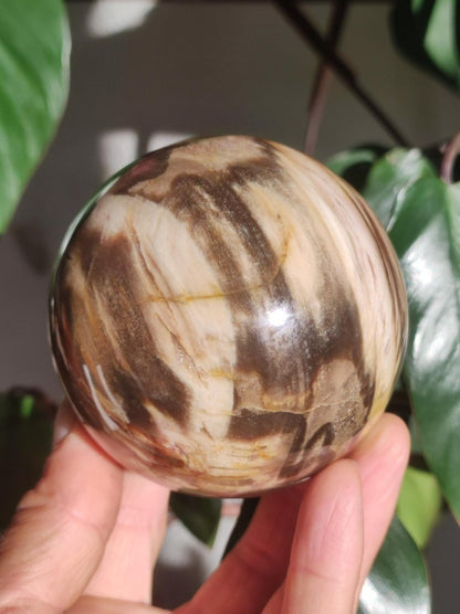 Versteinertes Holz - XXL Edelstein Kugel Natur Heilstein Deko Sphere Sammler Wohn Natur Qualität Selten Rarität Geschenk Mann Frau Er Sie - Art of Nature Berlin